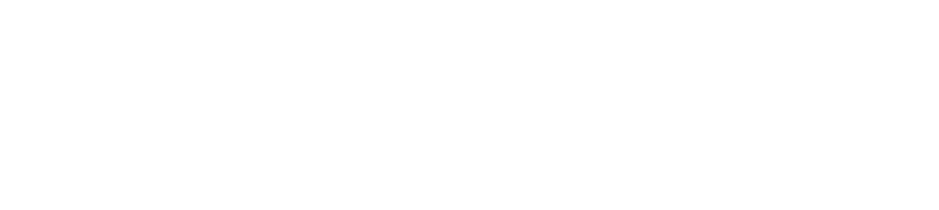 The TP accurate logo